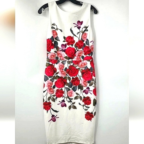 Brand New Floral Sleeveless Dress - Red and Pink Size 8 - Picture 12 of 12